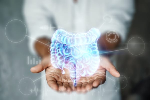 Best Herbal Teas to Relax Your Bowels and Ease Discomfort