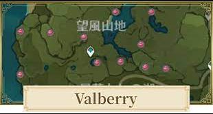 Genshin Impact Valberry