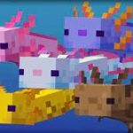 Minecraft Axolotls