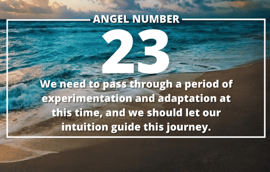 23 Angel Number