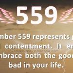 559 Angel Number – Meaning